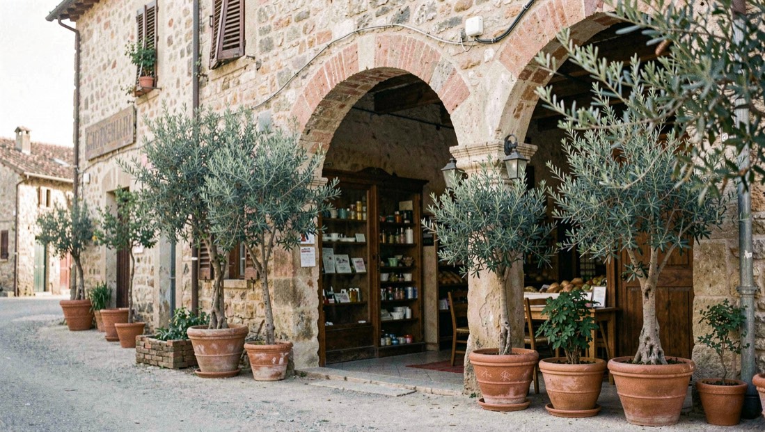 Village storefront with a deep arcade, potted olive trees and quiet morning shade