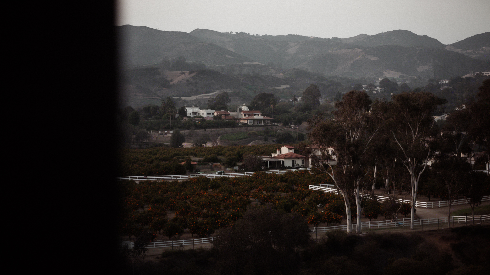 Long tree lined driveway approaching a white stucco estate with a red tile roof at golden hour
